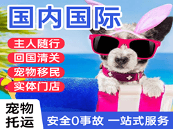 舟山普陀山航空空运国际宠物托运 【国